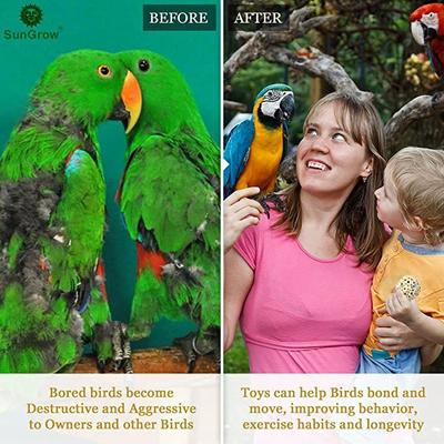 Show full view: SunGrow Parrot Sola Atta Shred Foraging & Foot Chew Ball, Sunflower Seed Holder, Teeth Grinding for Hamster, 3 count slide 5 of 7