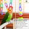 Show in main carousel: SunGrow Plastic Links Math Manipulative Learning Bird & Small Animal Toy slide 5 of 6