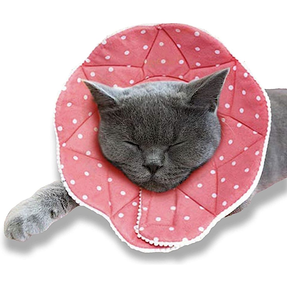 SunGrow Post-Surgery Soft Cone Dog & Cat Recovery Collar, Pink, Medium