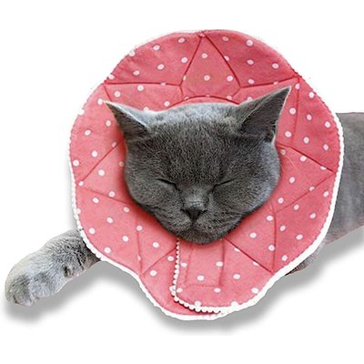SunGrow SunGrow Post-Surgery Soft Cone Dog & Cat Recovery Collar, Pink, Medium