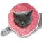 Show in main carousel: SunGrow Post-Surgery Soft Cone Dog & Cat Recovery Collar, Pink, Medium slide 1 of 10