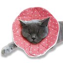 SunGrow Post-Surgery Soft Cone Dog & Cat Recovery Collar, Pink, Medium