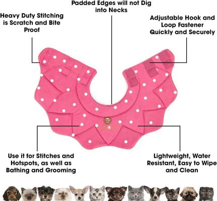 Show full view: SunGrow Post-Surgery Soft Cone Dog & Cat Recovery Collar, Pink, Medium slide 4 of 10