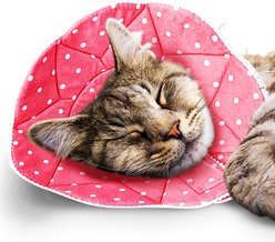 SunGrow Post-Surgery Soft Cone Dog & Cat Recovery Collar, Pink, Small