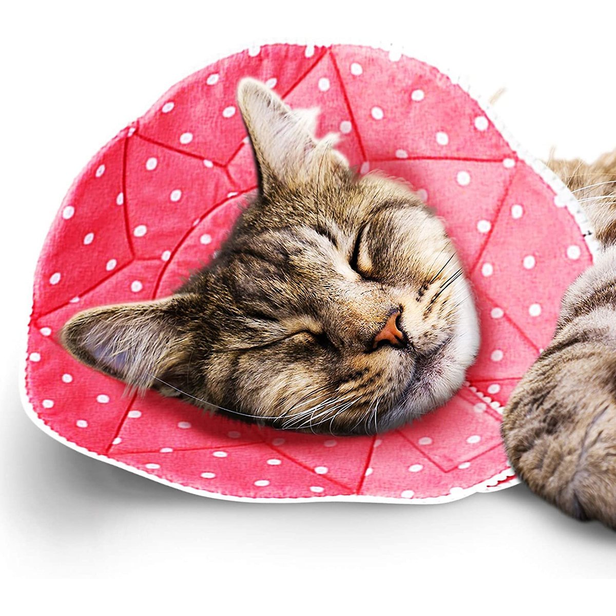 SunGrow Post-Surgery Soft Cone Dog & Cat Recovery Collar, Pink, Small