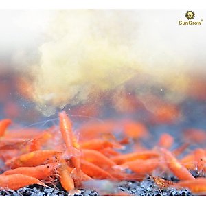 SunGrow Probiotic Powder Supplement for Freshwater Aquarium Baby Cherry Shrimp Food, 2-oz bag