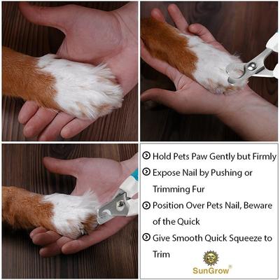 Show full view: SunGrow Professional Cat & Dog Nail Clippers, Claw Care & Paw Trimmer for Rabbit & Small Pets slide 5 of 7