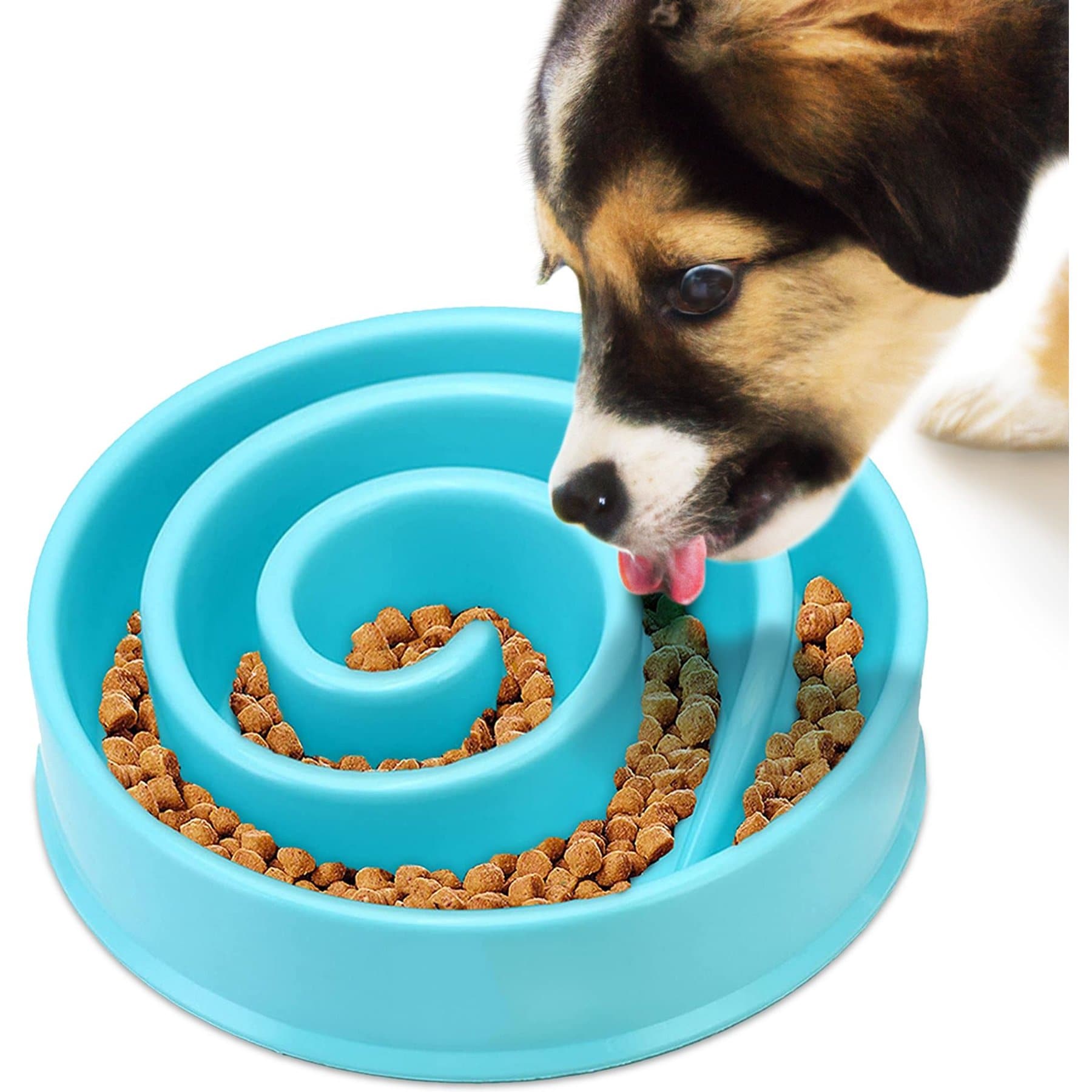 SunGrow Puzzle Cat, Dog & Small-Pet Maze Feeder & Water Bowl