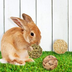 SunGrow Rabbit Assorted Chew Ball Treats Cat & Guinea Pig Teeth Cleaning & Grinder, 3 Count slide 2 of 6
