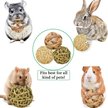 Show in main carousel: SunGrow Rabbit Assorted Chew Ball Treats Cat & Guinea Pig Teeth Cleaning & Grinder, 3 Count slide 5 of 7