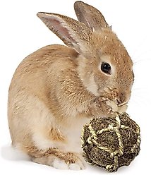 SunGrow Rabbit & Ferret Dental Floss Chew Toy Small Animal Tooth Cleaning Treat, 1 count