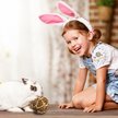 Show in main carousel: SunGrow Rabbit & Ferret Dental Floss Chew Toy Small Animal Tooth Cleaning Treat, 1 count slide 4 of 6