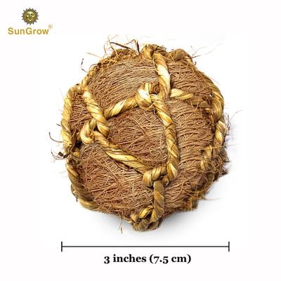 Show full view: SunGrow Rabbit & Ferret Dental Floss Chew Toy Small Animal Tooth Cleaning Treat, 1 count slide 5 of 6