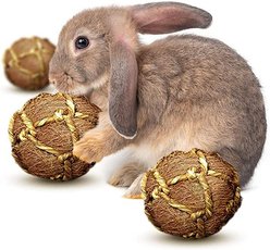 SunGrow Rabbit & Ferret Dental Floss Chew Toy Small Animal Tooth Cleaning Treat, 3 count slide 2 of 7