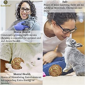 SunGrow Rabbit & Ferret Dental Floss Chew Toy Small Animal Tooth Cleaning Treat, 3 count
