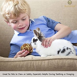 SunGrow Rabbit & Ferret Dental Floss Chew Toy Small Animal Tooth Cleaning Treat, 3 count
