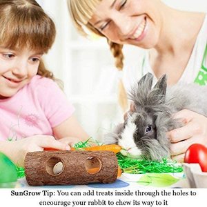 SunGrow Rabbit & Gerbil Chew Dwarf Hamster Hideout & Play Tunnel Wooden Log, 8-in