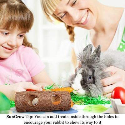 Show full view: SunGrow Rabbit & Gerbil Chew Dwarf Hamster Hideout & Play Tunnel Wooden Log, 8-in slide 3 of 5