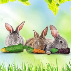 SunGrow Rabbit & Guinea Pig Veggie Chew Small Pet Teeth Grinding Toy, 3 count slide 2 of 5