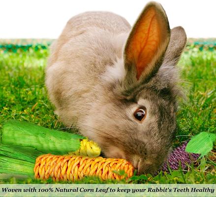 Show full view: SunGrow Rabbit & Guinea Pig Veggie Chew Small Pet Teeth Grinding Toy, 3 count slide 3 of 6