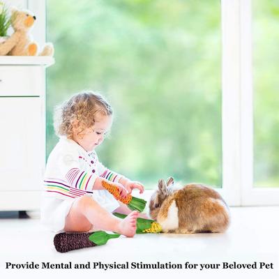 Show full view: SunGrow Rabbit & Guinea Pig Veggie Chew Small Pet Teeth Grinding Toy, 3 count slide 4 of 6