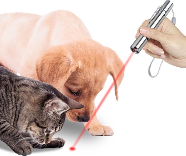 Show full view: SunGrow Rechargeable Laser Pointer Cat & Dog Interactive Exercise Toy slide 2 of 7
