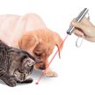 Show in main carousel: SunGrow Rechargeable Laser Pointer Cat & Dog Interactive Exercise Toy slide 2 of 7