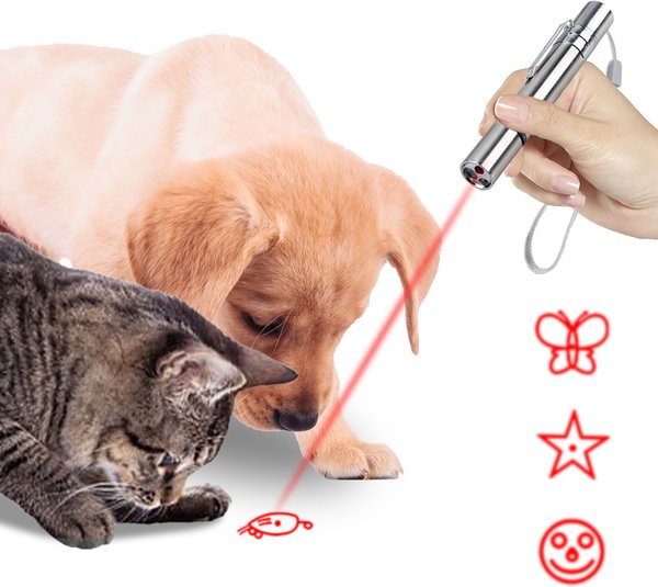 Show full view: SunGrow Rechargeable Laser Pointer Cat & Dog Interactive Exercise Toy slide 3 of 7