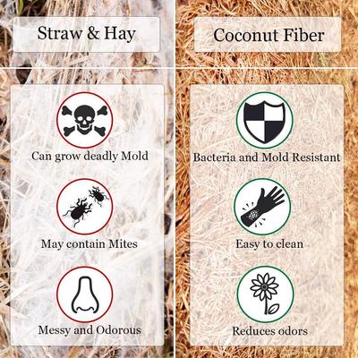 Show full view: SunGrow Reptile Carpet Mat for Gecko & Hermit Crab, Coconut Fiber Substrate Bedding Terrarium Liner slide 6 of 7