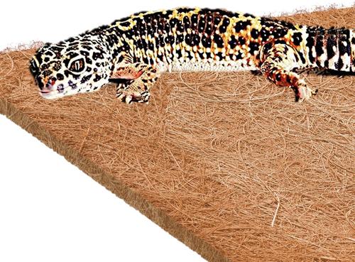 Show full view: SunGrow Reptile Carpet Mat for Gecko & Hermit Crab, Coconut Fiber Substrate Bedding Terrarium Liner slide 2 of 7