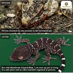 SunGrow Reptile Carpet Substrate & Floor Liner for Bearded Dragon & Leopard Gecko Tank, Green Mat Bedding