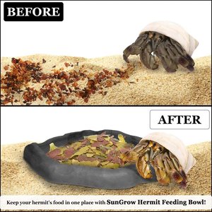 SunGrow Reptile Food & Water Dish Non-Skid Plastic Hermit Crab Bowl, Terrarium Decor Supplies, Charcoal