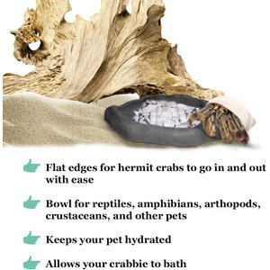 SunGrow Reptile Food & Water Dish Non-Skid Plastic Hermit Crab Bowl, Terrarium Decor Supplies, Charcoal