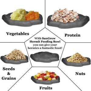 SunGrow Reptile Food & Water Dish Non-Skid Plastic Hermit Crab Bowl, Terrarium Decor Supplies, Charcoal