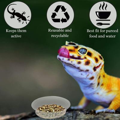 Show full view: SunGrow Reptile Water Dish & Food Bowl, Lizard & Gecko Feeding Ledge Cups, 1-oz, 100 count slide 3 of 7