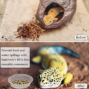 SunGrow Reptile Water Dish & Food Bowl, Lizard & Gecko Feeding Ledge Cups, 1-oz, 100 count