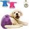 Show in main carousel: SunGrow Reusable Female Cat & Dog Diapers for Heat Cycle, 9-in to 15-in waist, 3 count slide 2 of 7