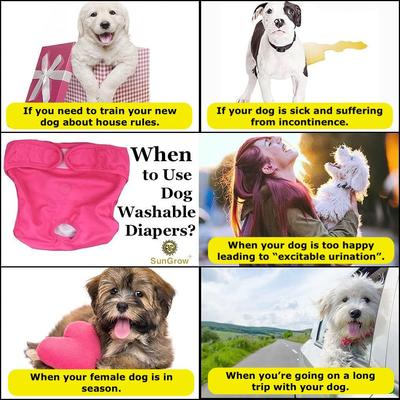 Show full view: SunGrow Reusable Female Cat & Dog Diapers for Heat Cycle, 9-in to 15-in waist, 3 count slide 5 of 7