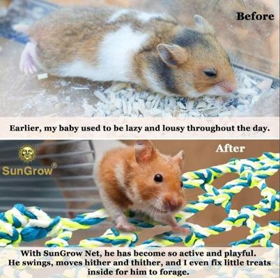 Show full view: SunGrow Rope Net Hamster & Rat Hammock, Small Pet Bed & Climbing Toys Cage Accessories slide 3 of 6