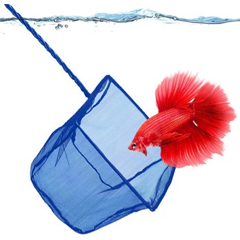 Fish Tank and Aquarium Nets - Free shipping | Chewy Fish Tank and Aquarium Nets - Free shipping | Chewy