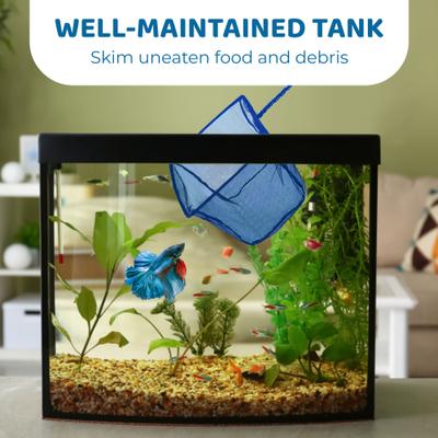 Show full view: SunGrow Safe Aquarium Cleaning Fine Mesh Betta Fish Net slide 3 of 7