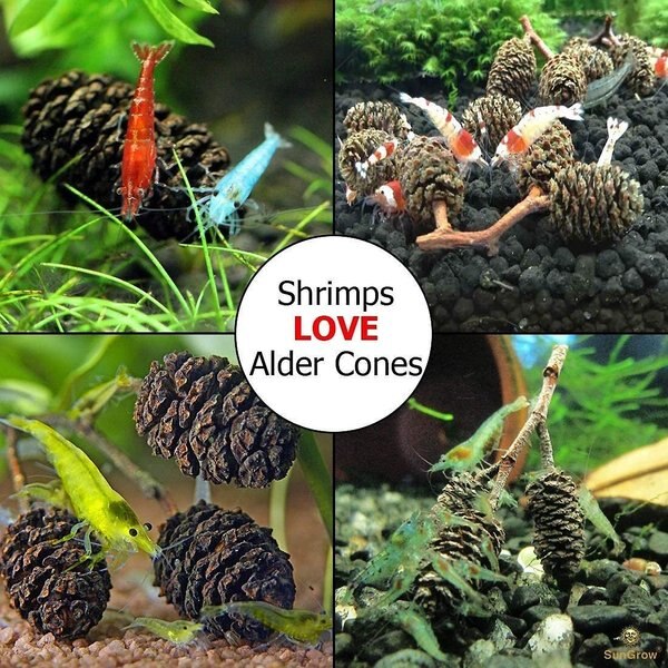 SunGrow Shrimp Breeding Aquarium Tank Water Conditioner & Food Alder Cones, 50 count