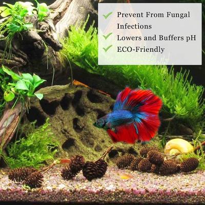 Show full view: SunGrow Shrimp Breeding Aquarium Tank Water Conditioner & Food Alder Cones, 50 count slide 4 of 7