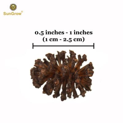 Show full view: SunGrow Shrimp Breeding Aquarium Tank Water Conditioner & Food Alder Cones, 50 count slide 6 of 7
