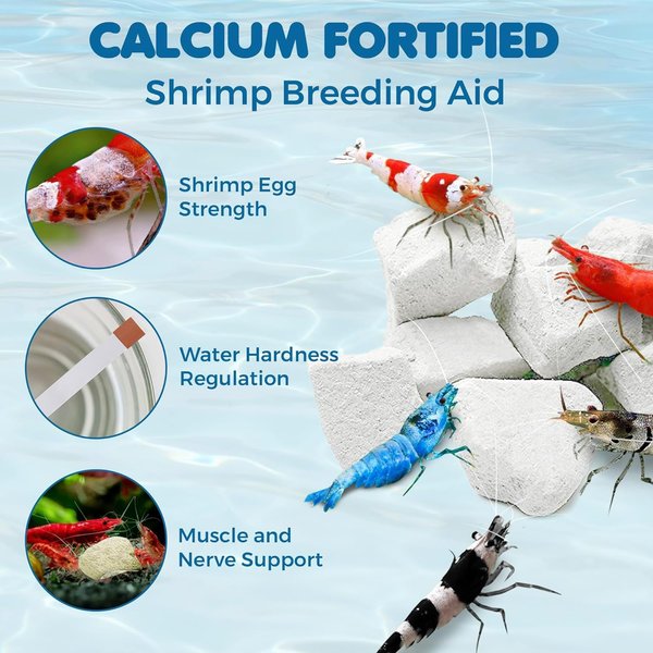 SunGrow Shrimp Mineral Rocks for Molting, Aquarium Calcium Supplement