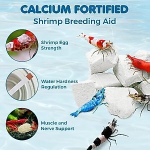SunGrow Shrimp Mineral Rocks for Molting, Aquarium Calcium Supplement, 1.8-oz
