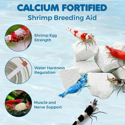 Show full view: SunGrow Shrimp Mineral Rocks for Molting, Aquarium Calcium Supplement, 1.8-oz slide 3 of 8