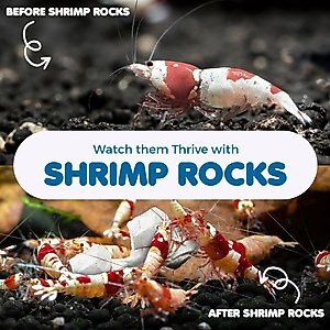 SunGrow Shrimp Mineral Rocks for Molting, Aquarium Calcium Supplement, 1.8-oz