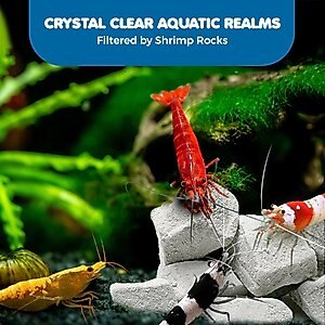 SunGrow Shrimp Mineral Rocks for Molting, Aquarium Calcium Supplement, 1.8-oz