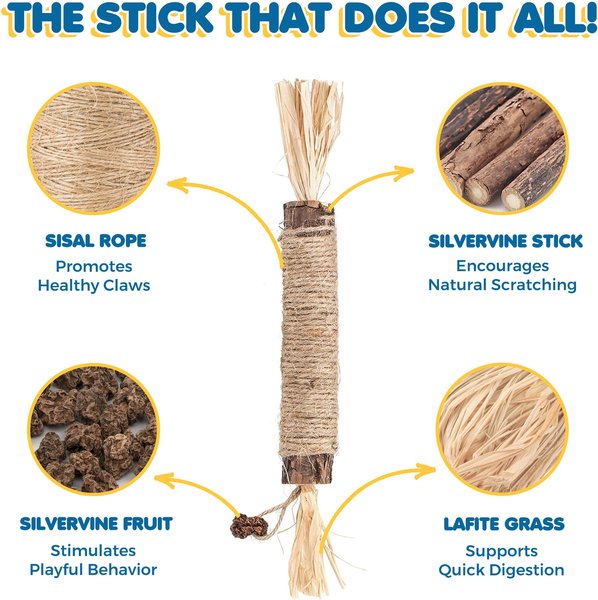 SunGrow Silvervine Teething Chew Sticks Dental Treat & Feather Cat Toy with Catnip, 5 count